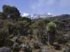 kili_02_small.jpg