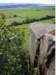 tremadog_09_small.jpg